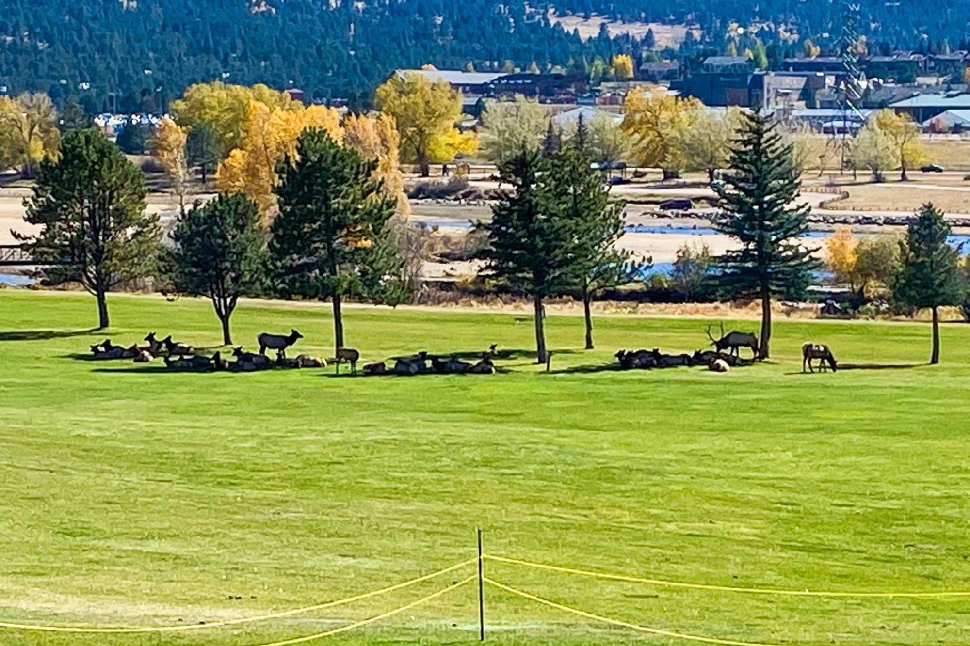 Fairways & 14Ers Villa Estes Park Buitenkant foto